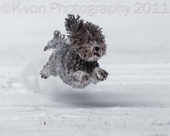 Full Tilt